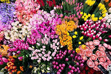 《鬼武者：剑之道》中文预告 中文官网上线