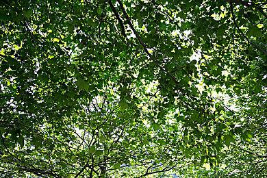 《使命召唤：战区》Next发布会将展示新地图“99区”