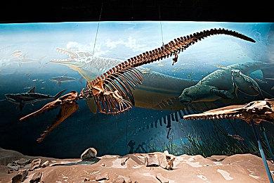 《邻居：郊区战争》Steam上线开启测试 邻居大混战